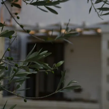 Masseria 77 Guest house *