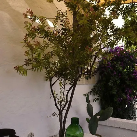 Guest house Masseria 77